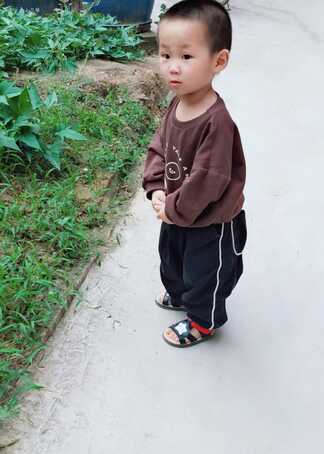 模特-