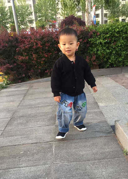 模特-