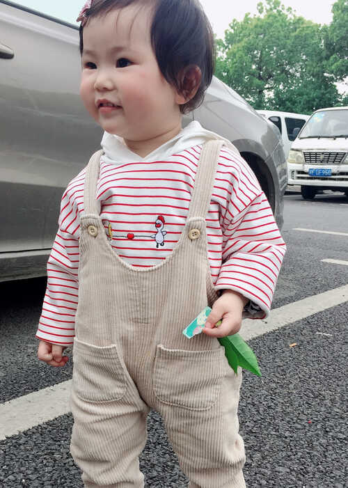 模特-