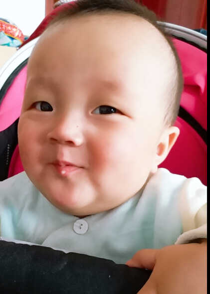 模特-