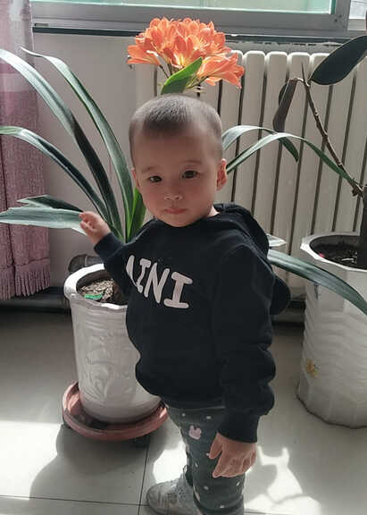 模特-