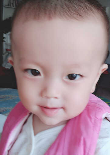 模特-