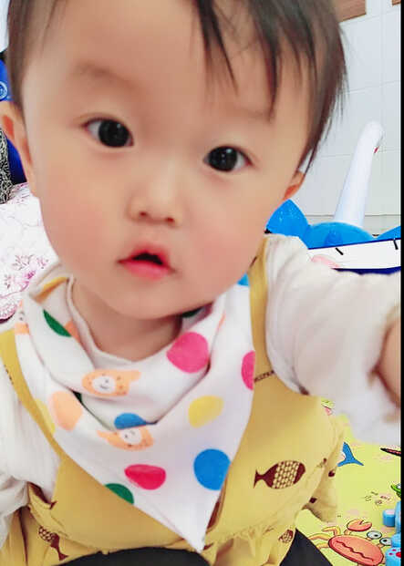 模特-