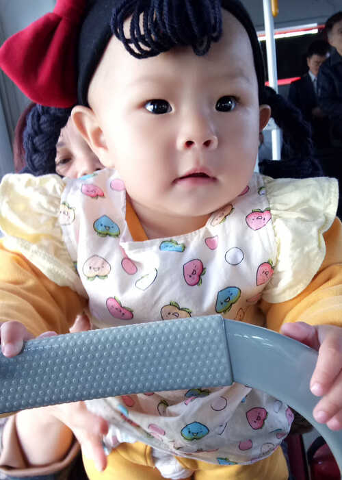 模特-