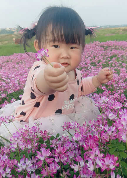 模特-