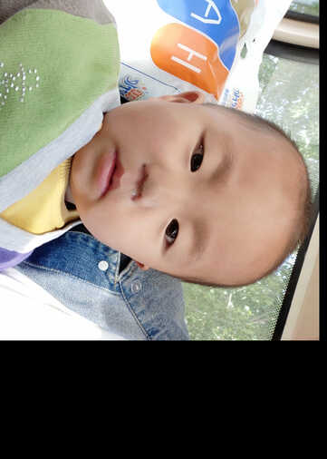 模特-