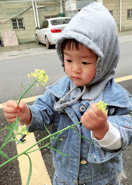 模特-