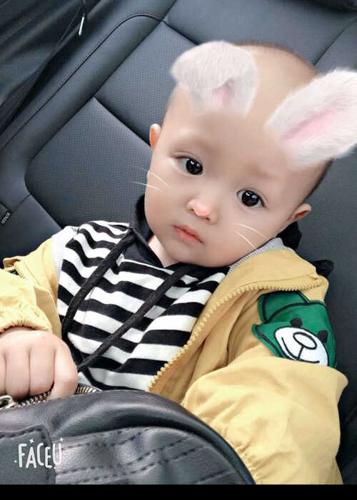 模特-