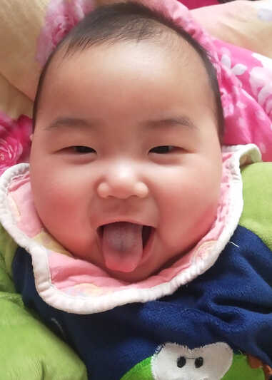 模特-
