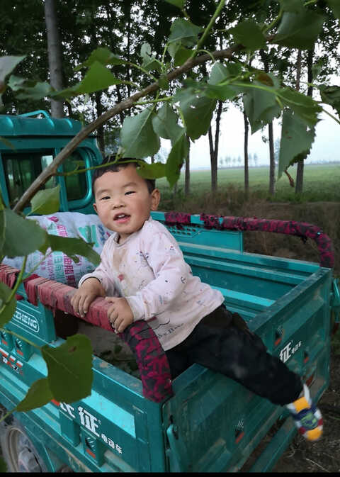 模特-