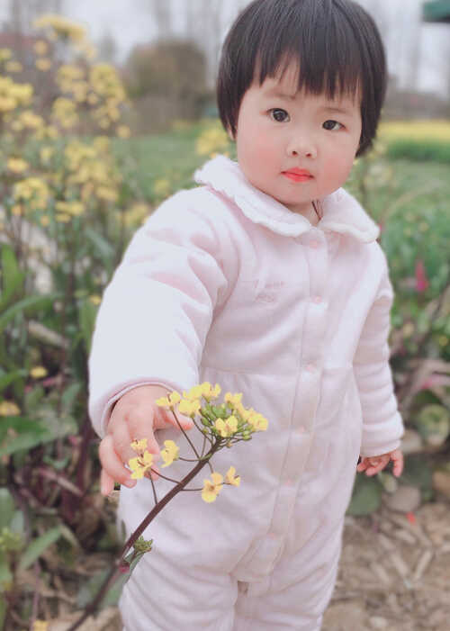 模特-
