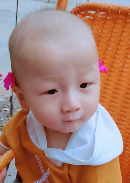 模特-