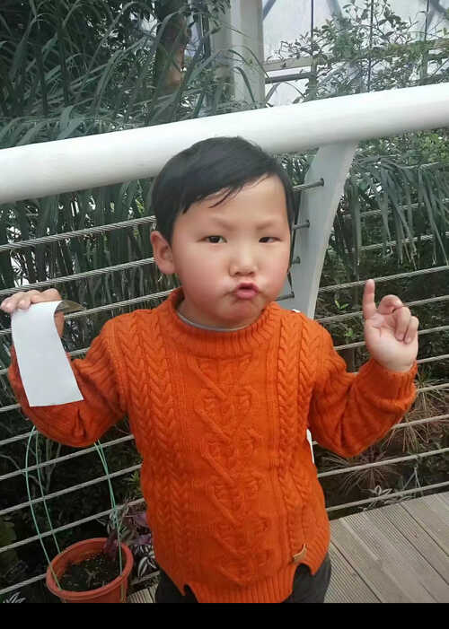 模特-