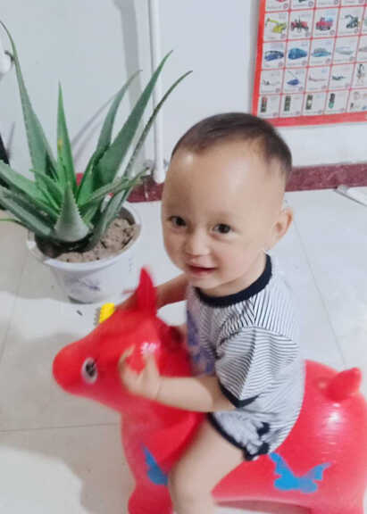 模特-