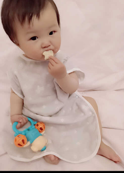 模特-
