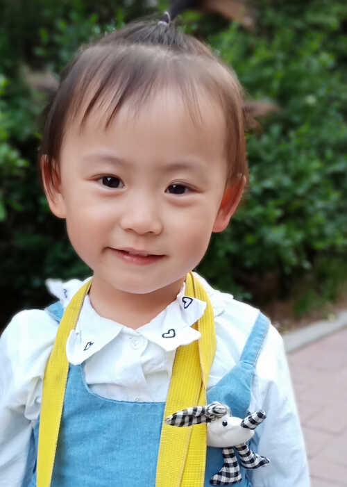 模特-