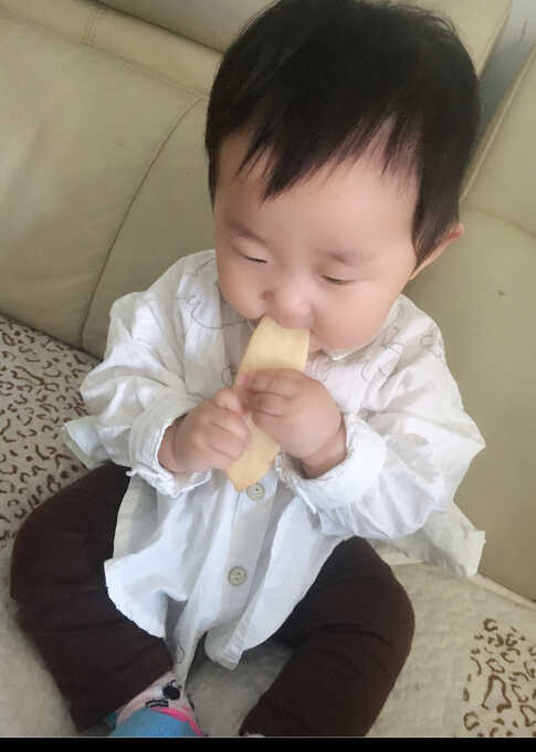 模特-