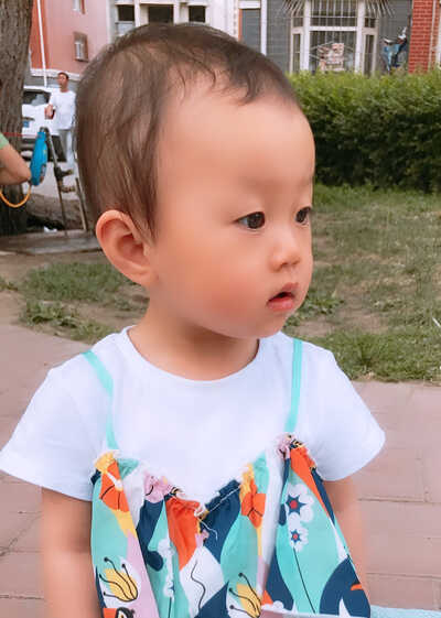模特-