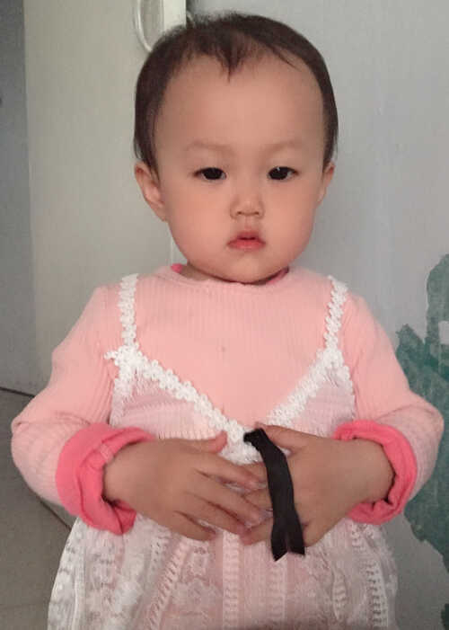 模特-