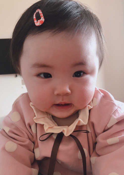 模特-