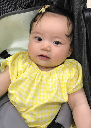 模特-
