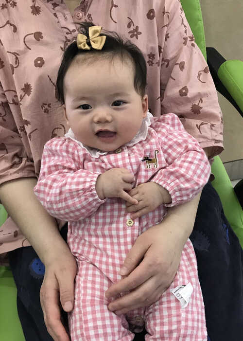 模特-