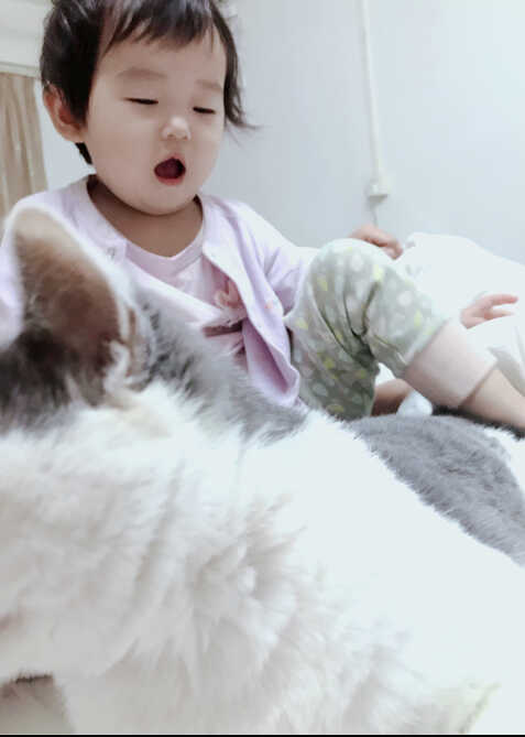 模特-