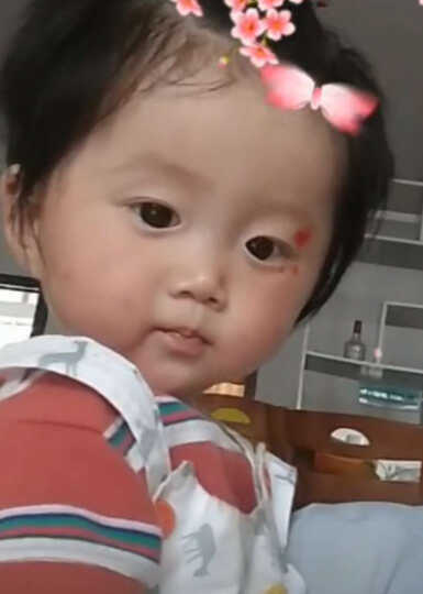 模特-