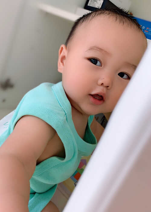 模特-