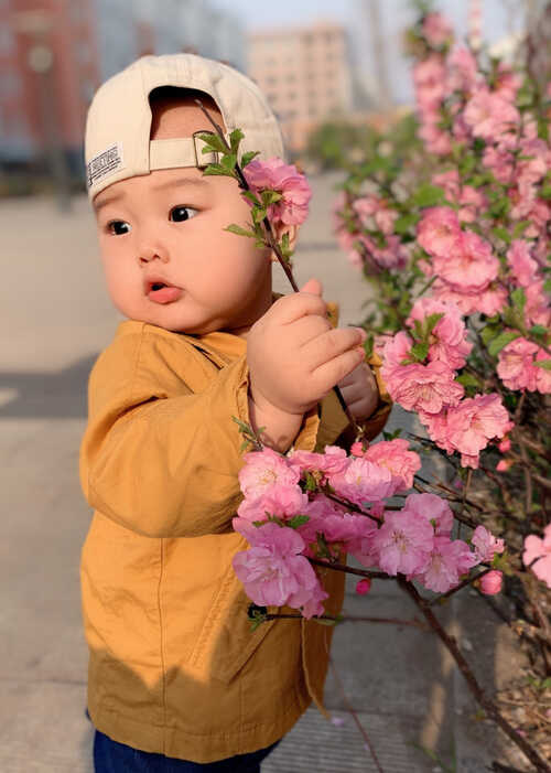 模特-