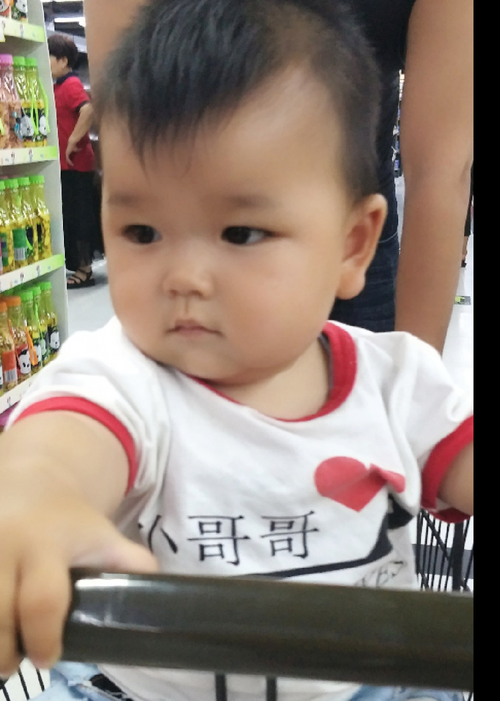 模特-