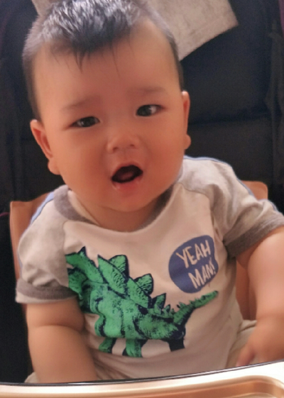 模特-