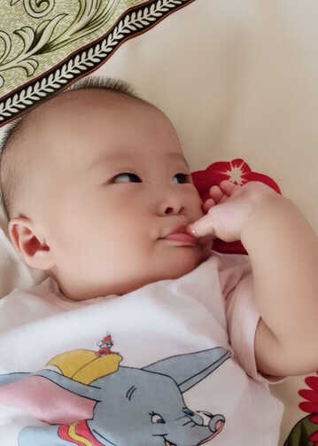 模特-