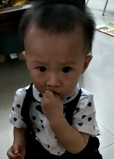 模特-