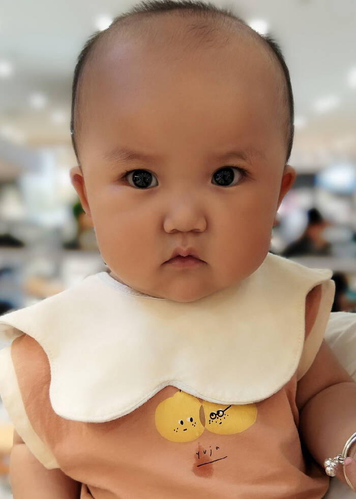 模特-