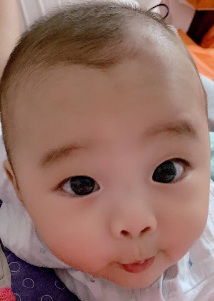 模特-