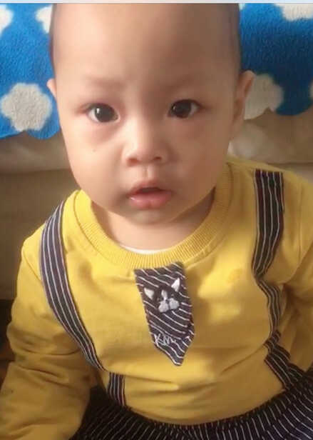 模特-