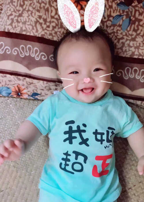 模特-