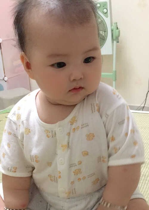 模特-