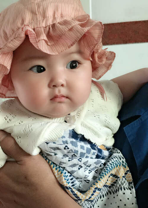 模特-