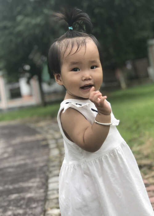 模特-