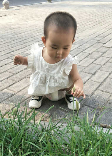 模特-