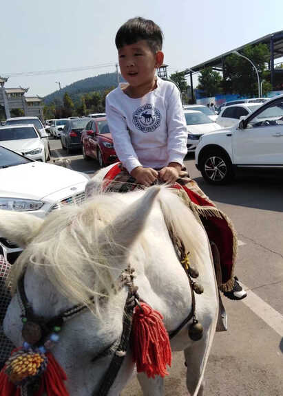 模特-
