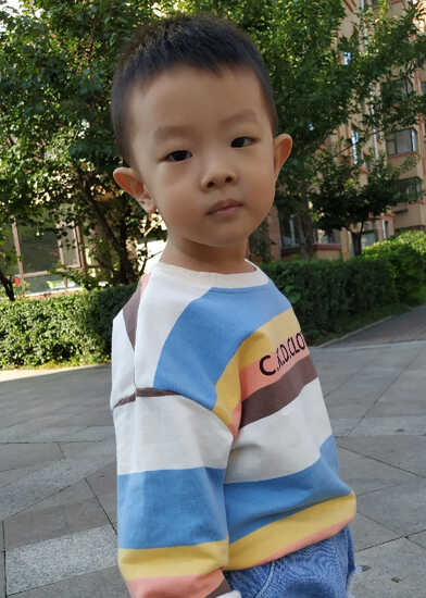 模特-