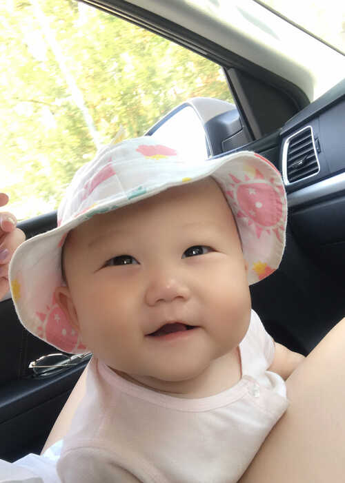 模特-
