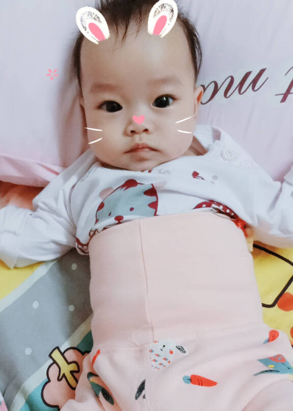 模特-