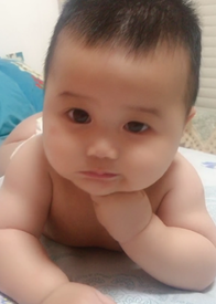 模特-