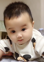模特-