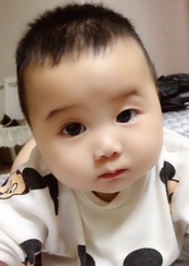 模特-