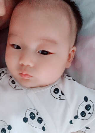 模特-